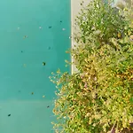 Borgo Le Moraiole 팜스테이 마사마리티마