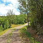 בית חווה Borgo Le Moraiole