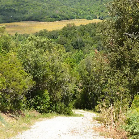 Borgo Le Moraiole Feriegård Massa Marittima