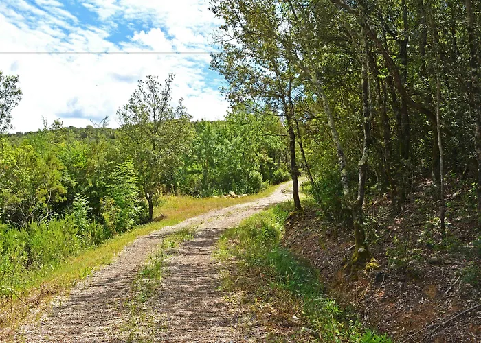 팜스테이 Borgo Le Moraiole